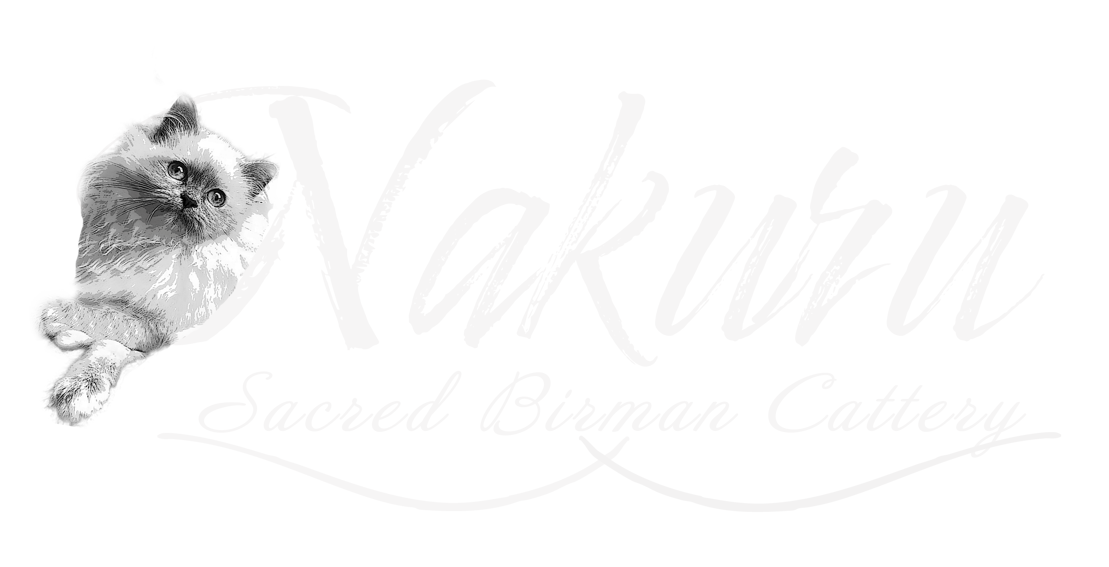 Nakuru Cattery
